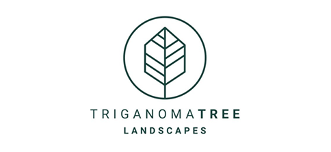 TRIGANOMATREE LANDSCAPE